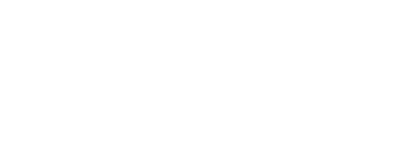 PAV Logo